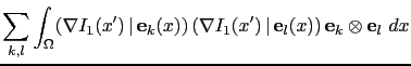 $\displaystyle \sum_{k,l}\int_\Omega(\nabla I_1(x') \vert {\bf e}_k(x)) (\nabla I_1(x') \vert {\bf e}_l(x)) {\bf e}_k\otimes {\bf e}_l dx$